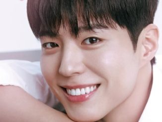 Download The Seasons: Park Bo Gum’s Cantabile Subtitle Indonesia
